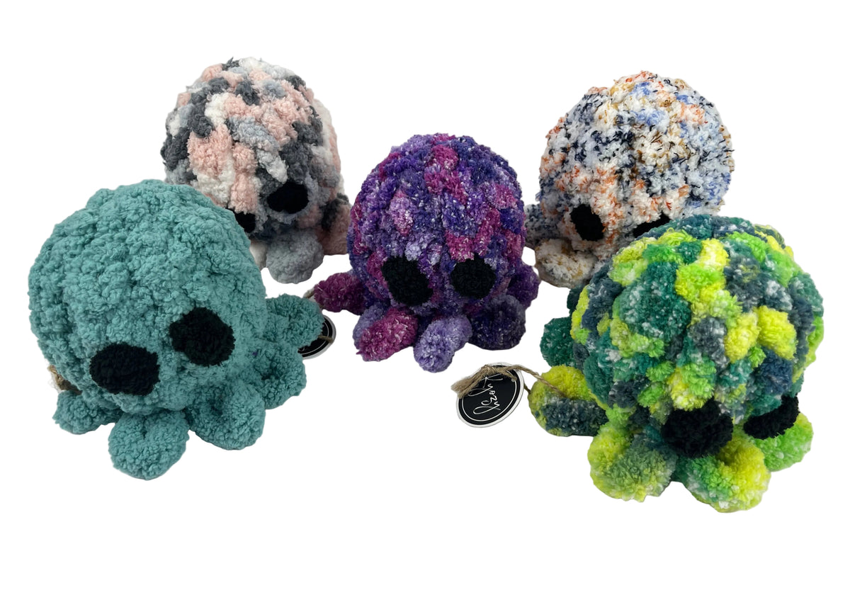 Mystery Colour Octopus
