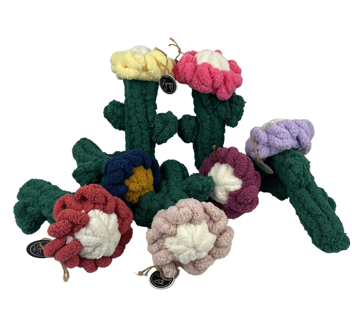 Mystery Colour Flower